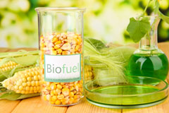 South Stainley biofuel availability